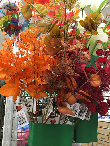 Dollar Store «Dollar Tree», reviews and photos, 101 Washington Square Plaza, Fredericksburg, VA 22405, USA