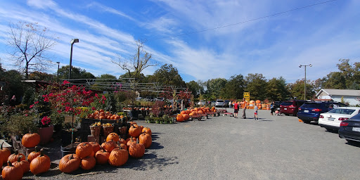 Garden Center «Nalls Produce», reviews and photos, 7310 Beulah St, Alexandria, VA 22315, USA