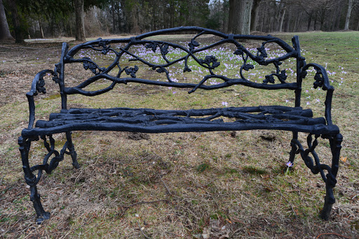 Nature Preserve «Muttontown Preserve», reviews and photos, Jericho-Oyster Bay Road, East Norwich, NY 11732, USA