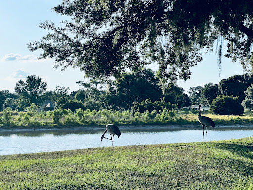 Golf Course «Cypresswood Golf and Country Club», reviews and photos, 1099 Clubhouse Rd, Winter Haven, FL 33884, USA