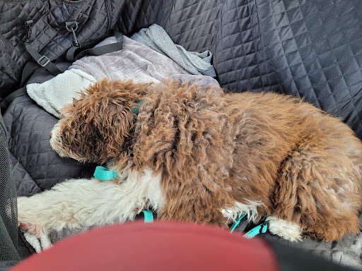 Pet Supply Store «PetSmart», reviews and photos, 19075 Interstate 45 S, Shenandoah, TX 77385, USA