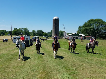 Horse riding field