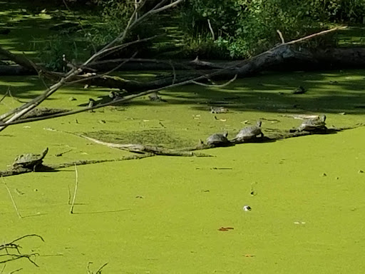 State Park «Radnor Lake State Park», reviews and photos, 1160 Otter Creek Rd, Nashville, TN 37220, USA