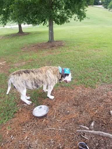 Park «Terramont Park», reviews and photos, 8500 Terramont Dr, The Woodlands, TX 77382, USA