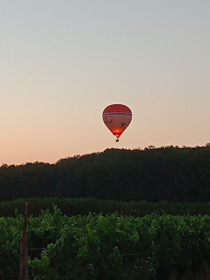 Domaine l'Epicourchois - Luc Percher à Cour-Cheverny