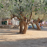 Photo n°44 de l'avis de Flavio.e fait le 29/08/2020 à 23:11 sur le  Talamone Camping Village à Talamone