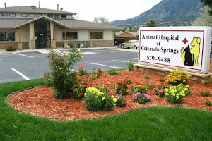 Animal Hospital of Colorado Springs image