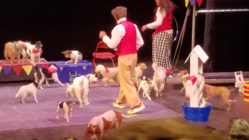 Arts Organization «Fairfield Community Arts Center», reviews and photos, 411 Wessel Dr, Fairfield, OH 45014, USA