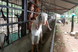 SAJ AGRO FARM AND JEEVADHARA YOGA CENTER image