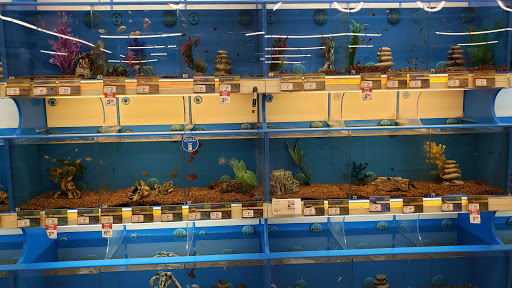 Pet Supply Store «PetSmart», reviews and photos, 2631 Beene Blvd, Bossier City, LA 71111, USA