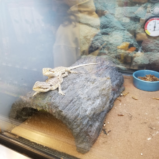 Pet Supply Store «Petco Animal Supplies», reviews and photos, 298 Spring Creek Drive, Franklin, TN 37067, USA