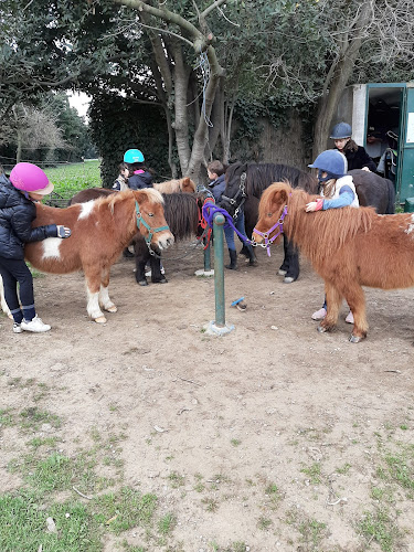 Centre équestre equi-gym Elne