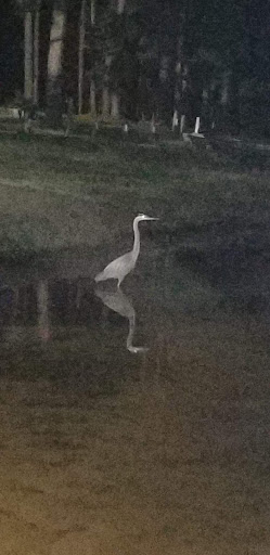 Park «Flint Creek Water Park», reviews and photos, 1216 Parkway Dr, Wiggins, MS 39577, USA