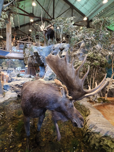 Sporting Goods Store «Bass Pro Shops», reviews and photos