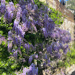 Photo n°2 de l'avis de bob.e fait le 19/04/2024 à 17:50 sur le  Hotel Villa Cipressi, by R Collection Hotels à Varenna