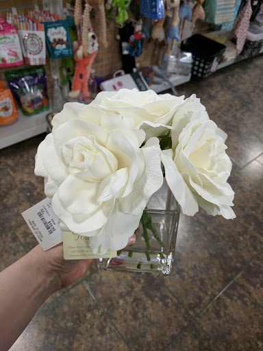 Department Store «HomeGoods», reviews and photos, 700 E Expy 83 #150, McAllen, TX 78503, USA