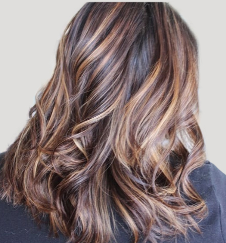 Hair Salon «Bella Donna Hair Salon», reviews and photos, 11925 W Sunrise Blvd, Plantation, FL 33323, USA