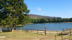 Plage du Lac de Pradelles-Cabardes photo #5