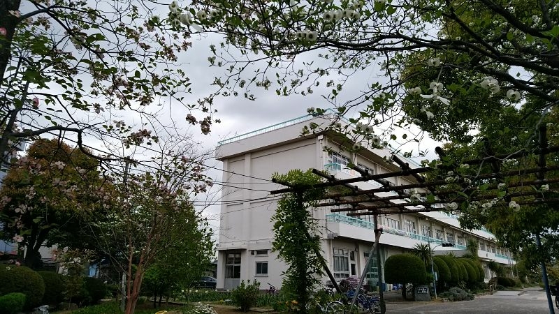 三郷市立戸ヶ崎小学校