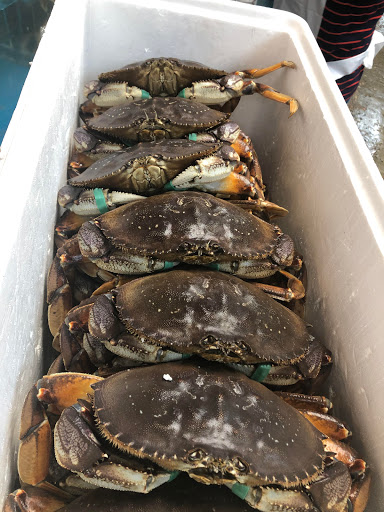 Asian Grocery Store «Sunseng Supermarket», reviews and photos, 5201 NJ-38 #101, Merchantville, NJ 08109, USA