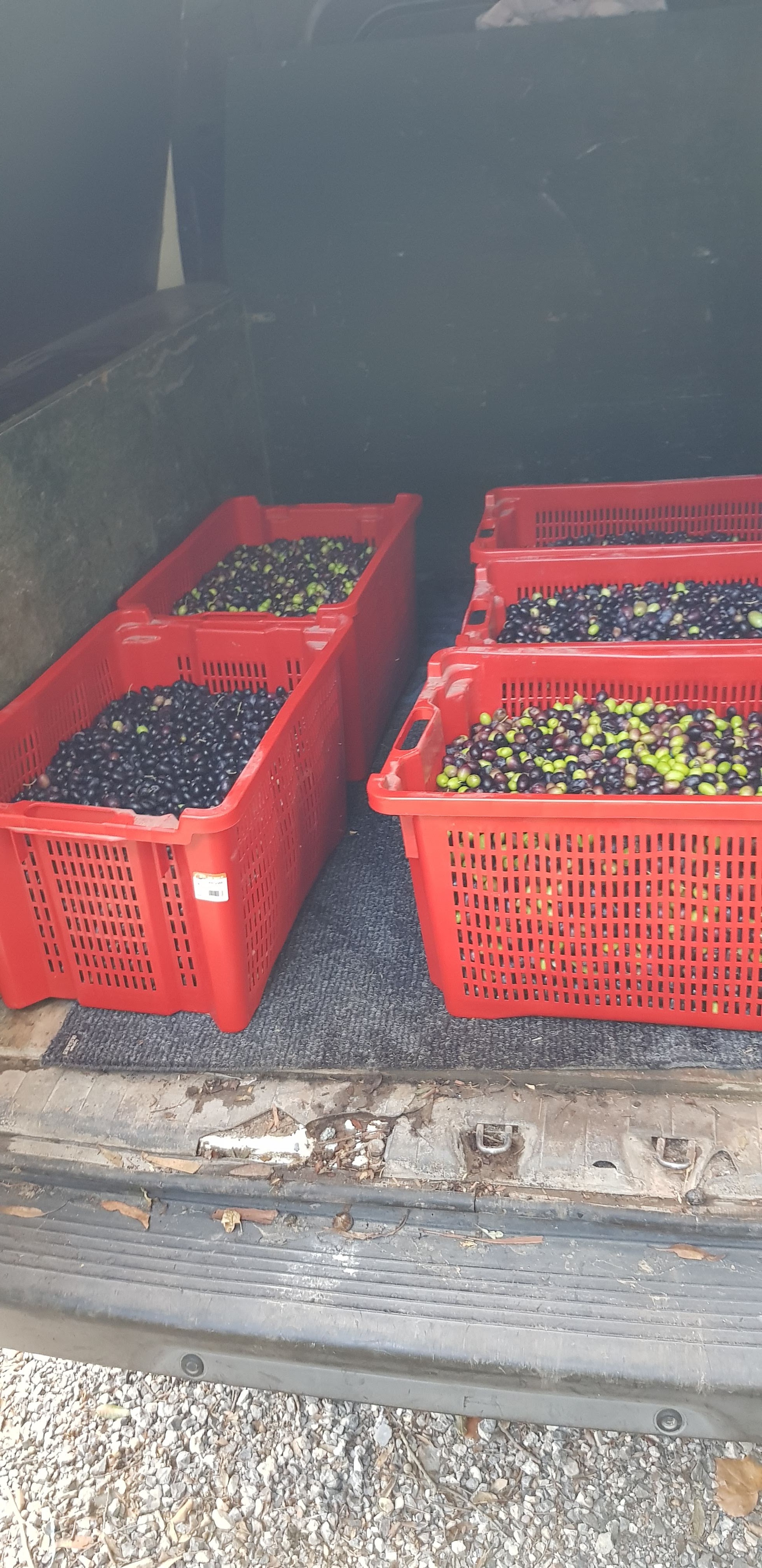 Photo n° 7 de l'avis de Nabia.o fait le 25/10/2020 à 15:06