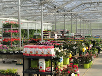 Treeland Garden Center & Nursery - Photo 4 - Car repair in Bridgeport, CT, Bridgeport