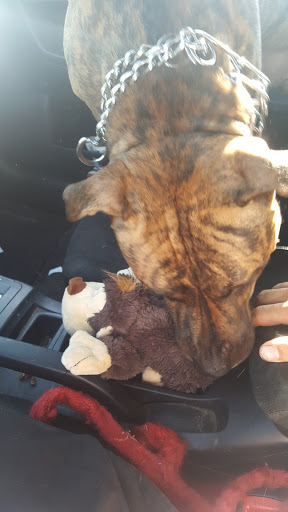 Pet Supply Store «Concord Pet Foods & Supplies», reviews and photos, 318 Village Center Dr, Logan Township, NJ 08085, USA