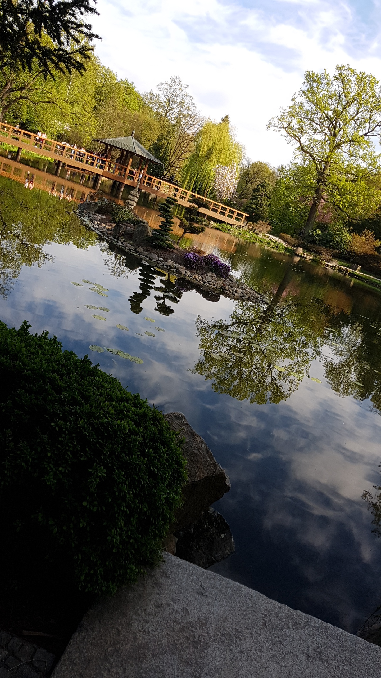 Photo n° 1 de l'avis de Geoffrey.a fait le 15/05/2019 à 08:46