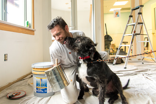 Painter «Two Dudes Painting Company», reviews and photos, 750 Poplar St, Lancaster, PA 17603, USA