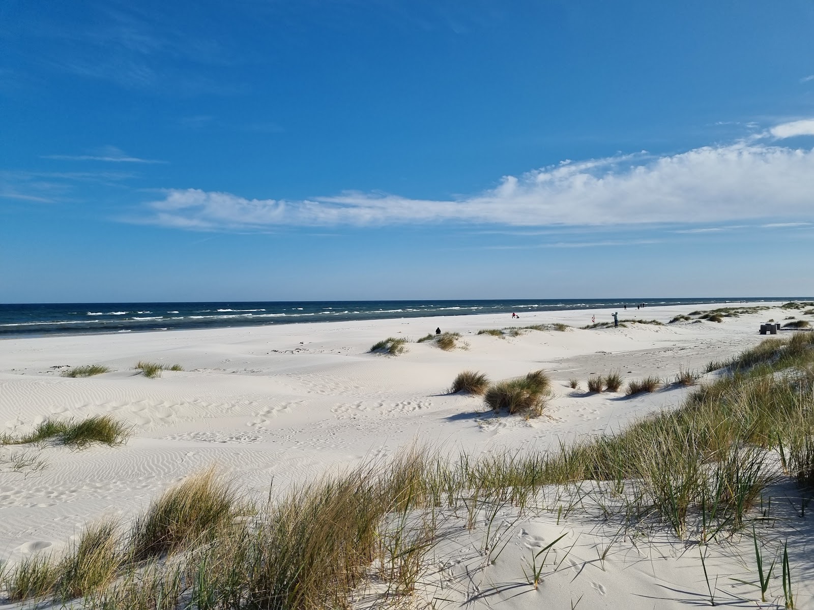 Fotografija Dueodde Beach z dolga ravna obala