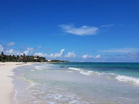Playa Punta Brava