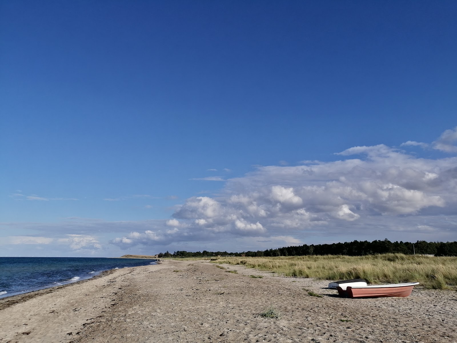 Foto di Gjerrild Nord Beach - luogo popolare tra gli intenditori del relax