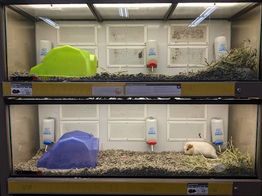 Pet Supply Store «Petco Animal Supplies», reviews and photos, 474 228th Ave NE, Sammamish, WA 98074, USA