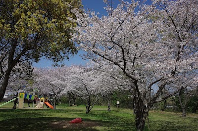 重信川みんなの広場