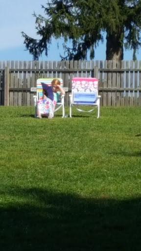 Vineyard «Boordy Vineyards», reviews and photos, 12820 Long Green Pike, Hydes, MD 21082, USA