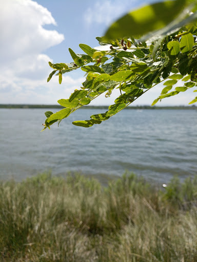 State Park «Cherry Creek State Park», reviews and photos, 4201 S Parker Rd, Aurora, CO 80014, USA