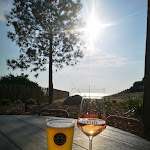 Photo n° 1 de l'avis de William.r fait le 04/05/2022 à 18:38 pour Les Épicurieux à Bretignolles-sur-Mer