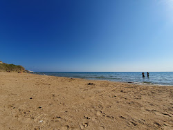 Drasy Beach'in fotoğrafı vahşi alan