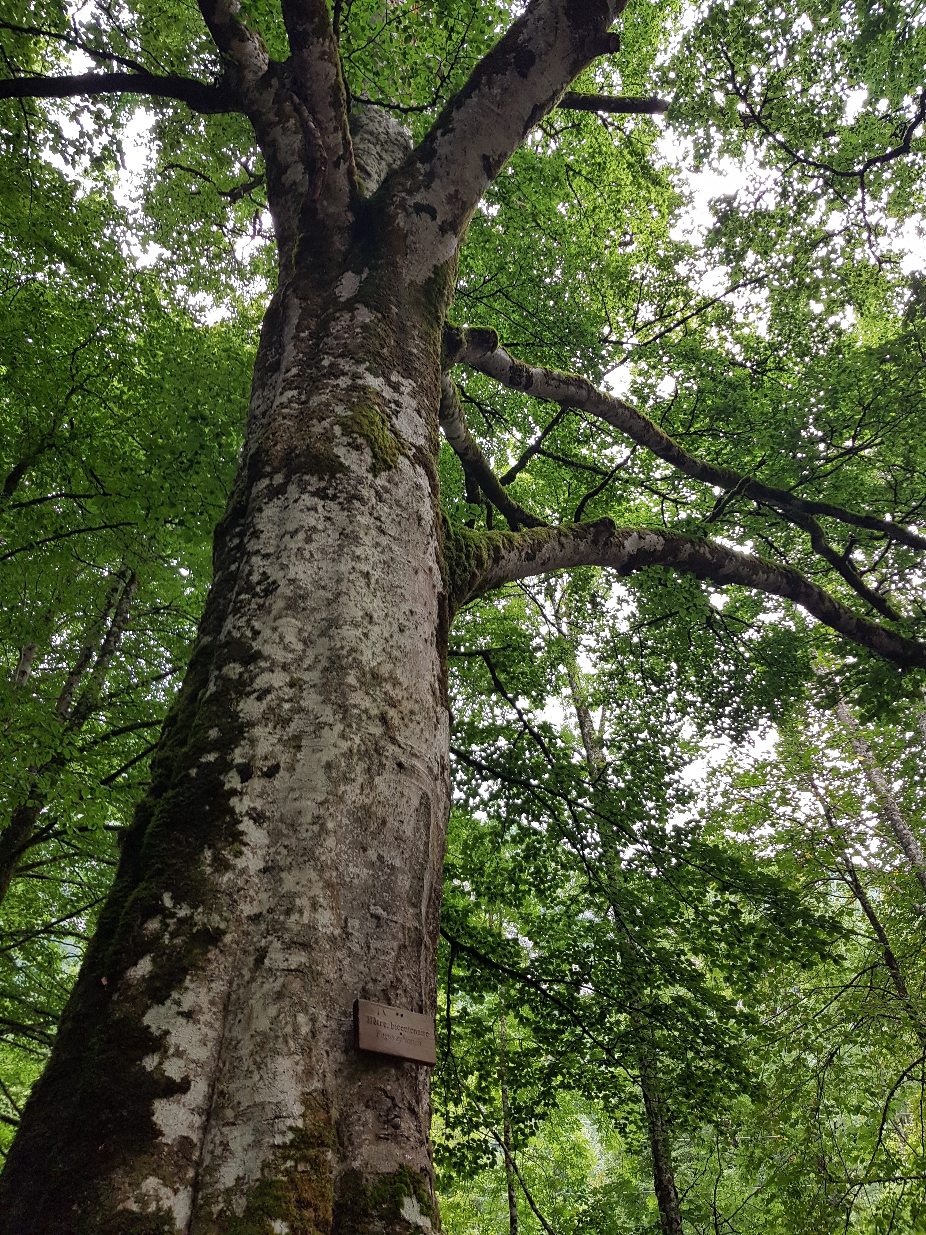 Photo n° 2 de l'avis de Eric.e fait le 12/08/2018 à 14:15