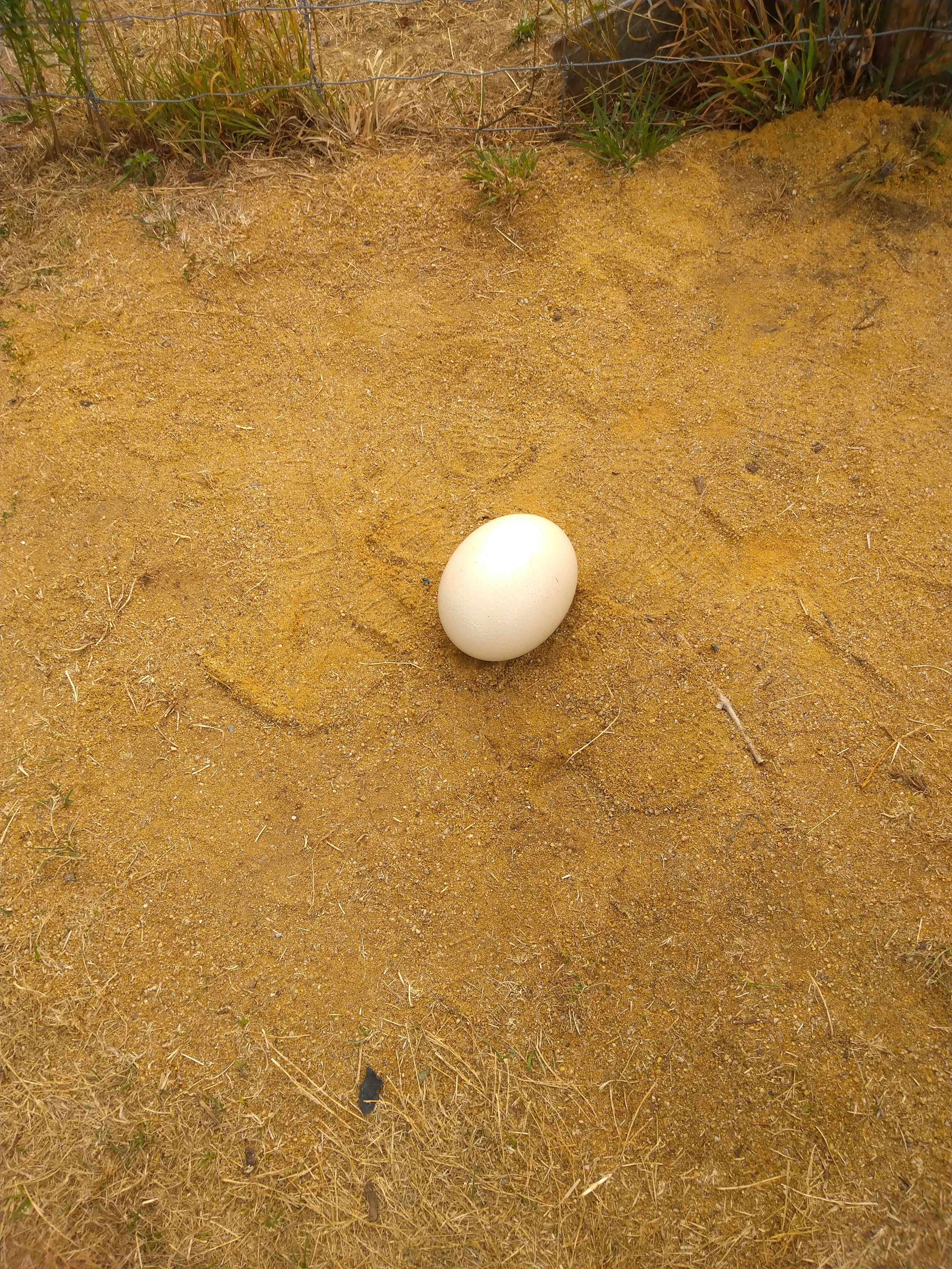 Photo n° 6 de l'avis de Dominique.e fait le 13/08/2020 à 19:03