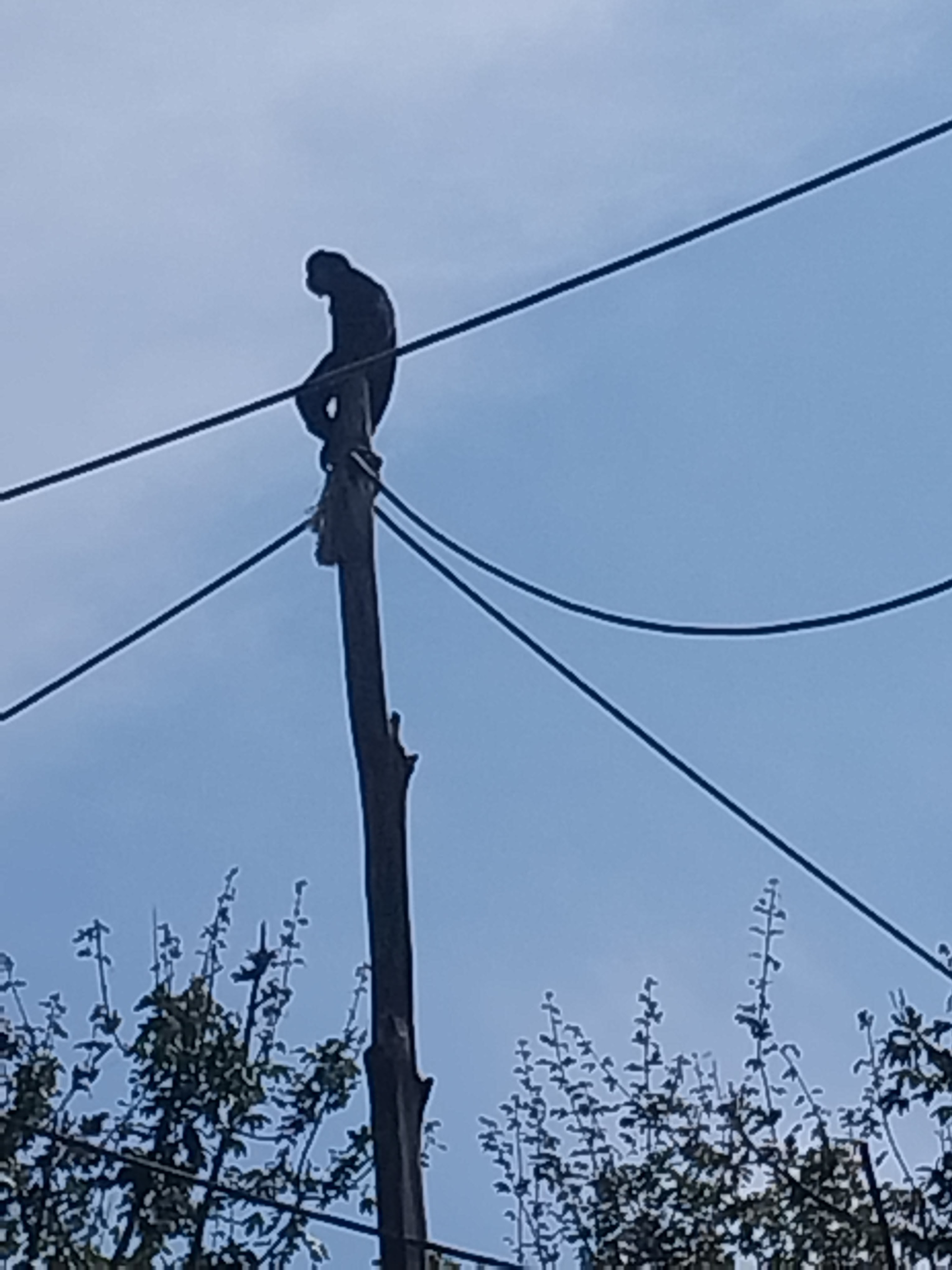 Photo n° 1 de l'avis de Jimmy.u fait le 01/08/2023 à 09:45