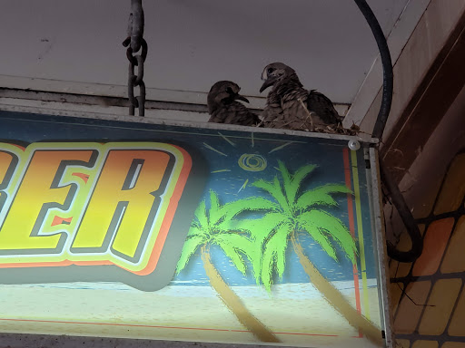 Resort «Indiana Beach Boardwalk Resort», reviews and photos, 5224 E Indiana Beach Rd, Monticello, IN 47960, USA