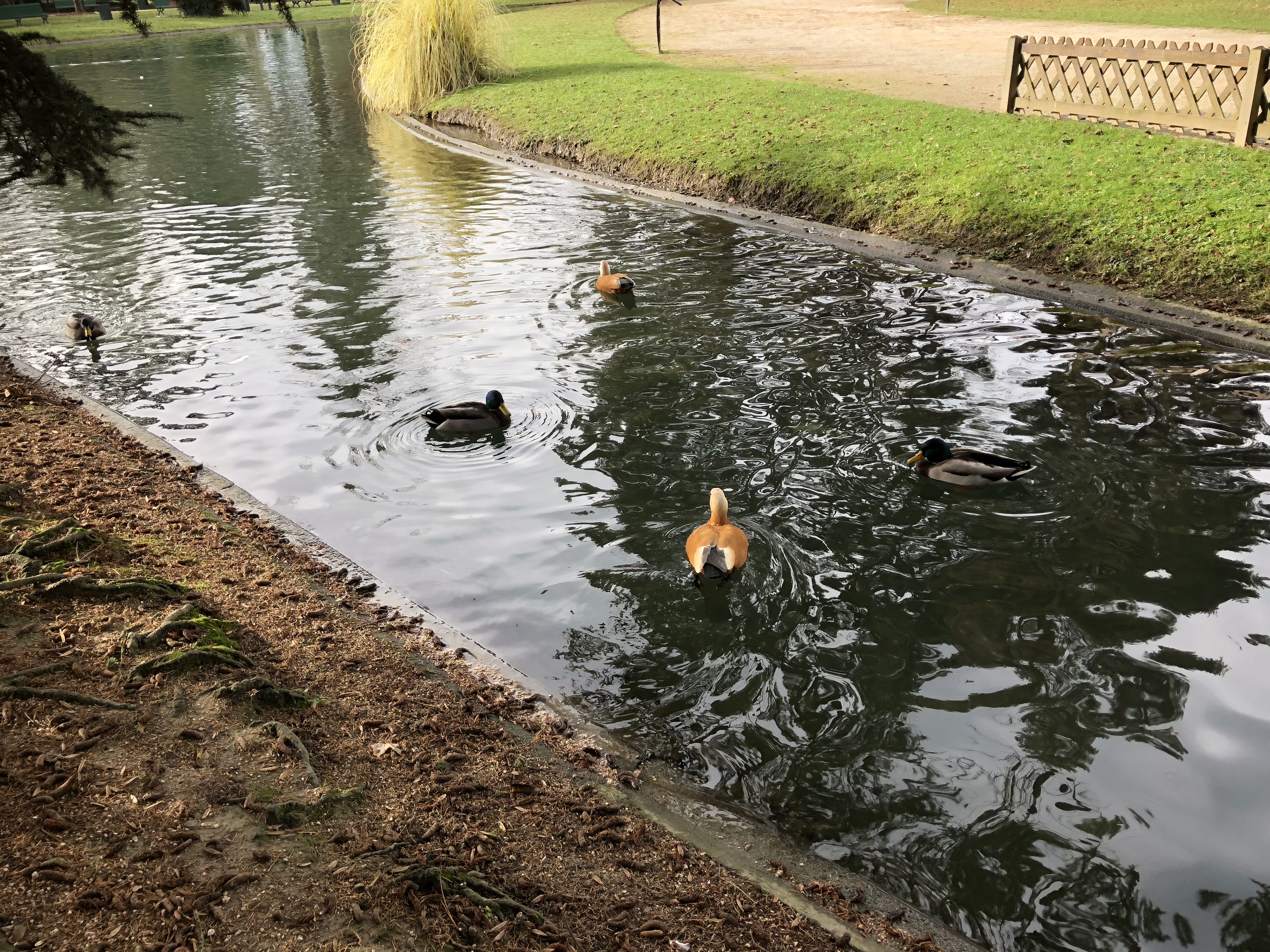 Photo n° 34 de l'avis de Philippe.a fait le 18/12/2018 à 14:27