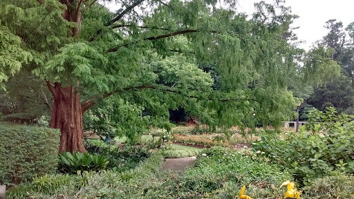 Performing Arts Theater «Raleigh Little Theatre», reviews and photos, 301 Pogue St, Raleigh, NC 27607, USA