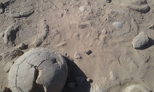 Ocotillo Wells State Vehicular Recreation Area image