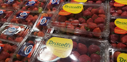 Grocery Store «Albertsons», reviews and photos, 11012 Canyon Rd E, Puyallup, WA 98373, USA