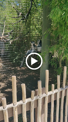 Zoo «Happy Hollow Park & Zoo», reviews and photos, 748 Story Rd, San Jose, CA 95112, USA