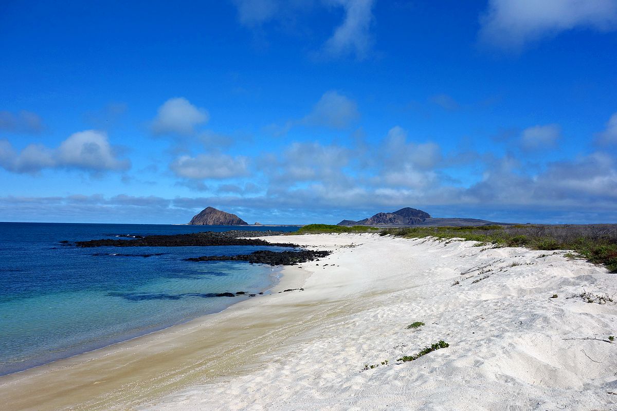Foto di Playa La Galapaguera con costa lunga e dritta