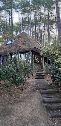 Photo hôtels La maison sous les pins 62152 Neufchâtel-Hardelot