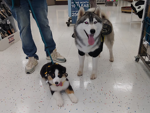 Pet Supply Store «Petco Animal Supplies», reviews and photos, 20111 US-19 #201c, Cranberry Twp, PA 16066, USA